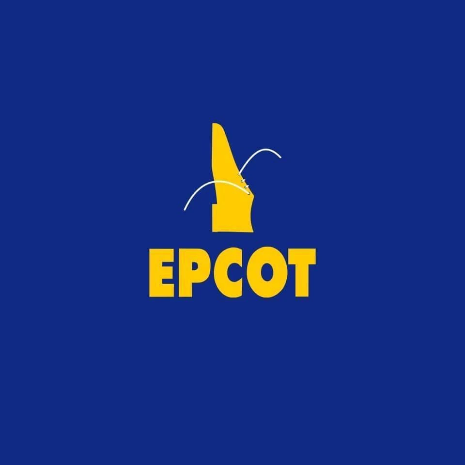 EPCOT SHOES